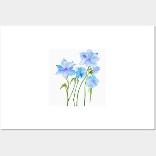 Blue Watercolor Flower Posters and Art